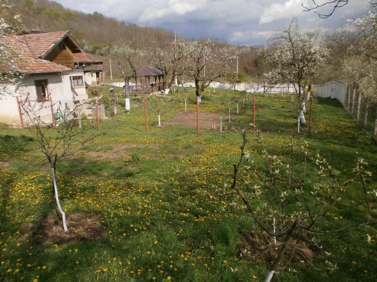 Teren de 120 mp, în Bâscenii de Sus