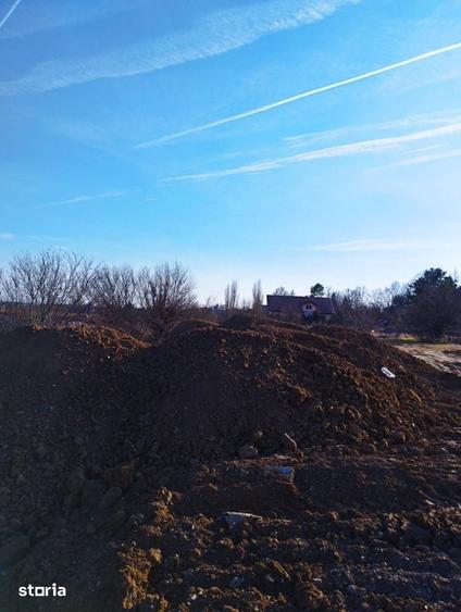 Teren de 1169 mp, în Cernica