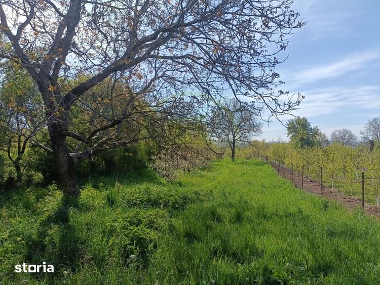 Casă cu 5 camere cu Teren 2286 Mp în Rușii-Munți