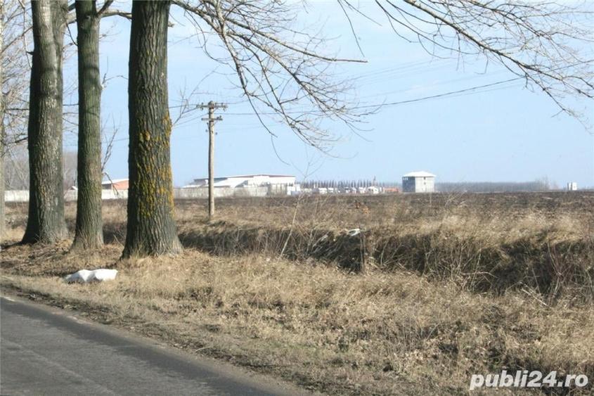 Teren de 20000 mp, în Afumați