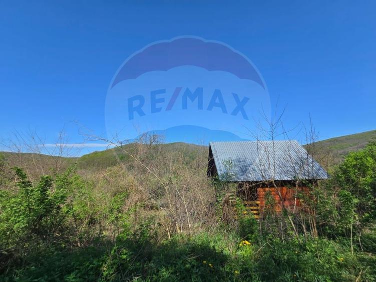 Teren Construcții intravilan de 3350 mp, în Stejeriș