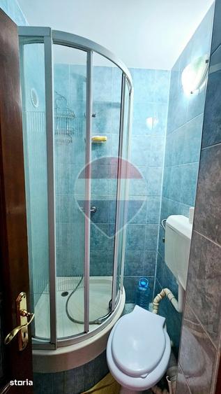 Apartament cu 3 camere, mobilat în Precista