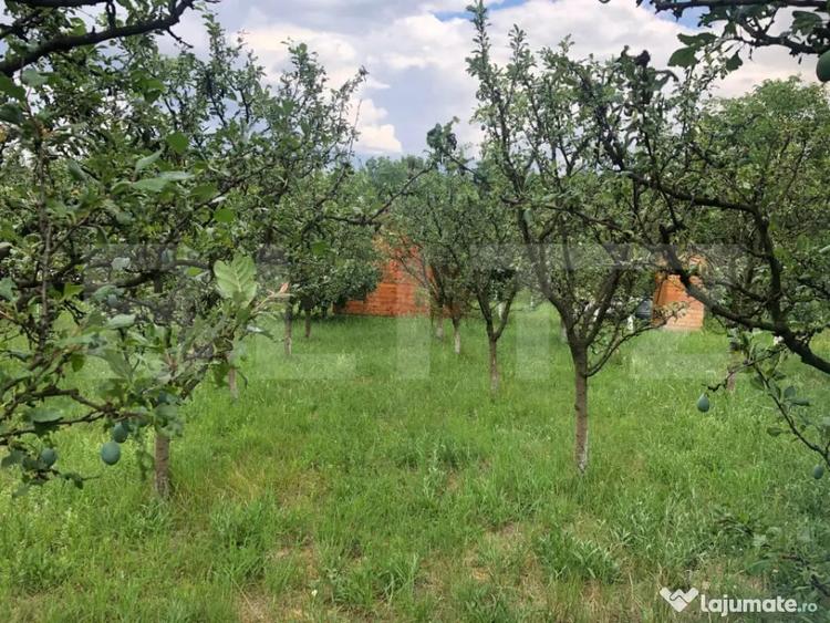 Teren de vanzare cu cabana ?i livada, 1300 mp, zona Viile - 7