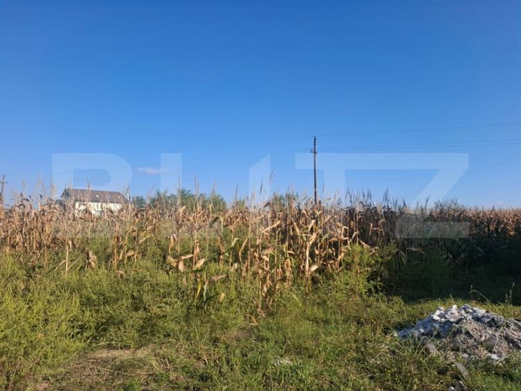 Teren de 5000 mp, în Bungetu