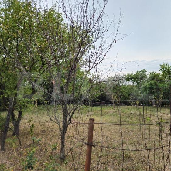 Teren Construcții intravilan de 17524 mp, în Viforâta