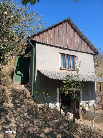 Teren de 44 mp, în Tileagd