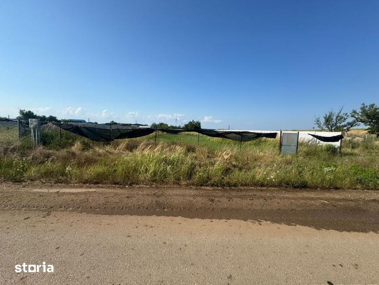 Teren de 1300 mp, în Cârcea