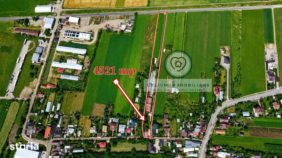 Casă cu Teren 4521 Mp în Ariceștii Rahtivani