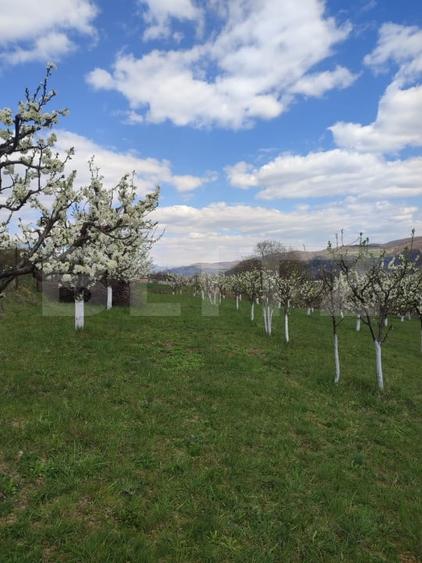 Teren agricol intravilan de 3300 mp, în Năsăud