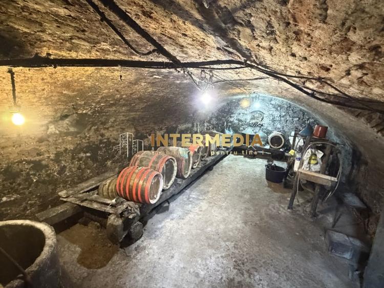 Casă individuală cu 6 camere cu Canalizare în Șard