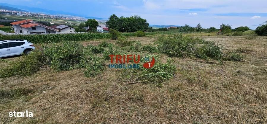 Spațiu comercial, în Ciugud