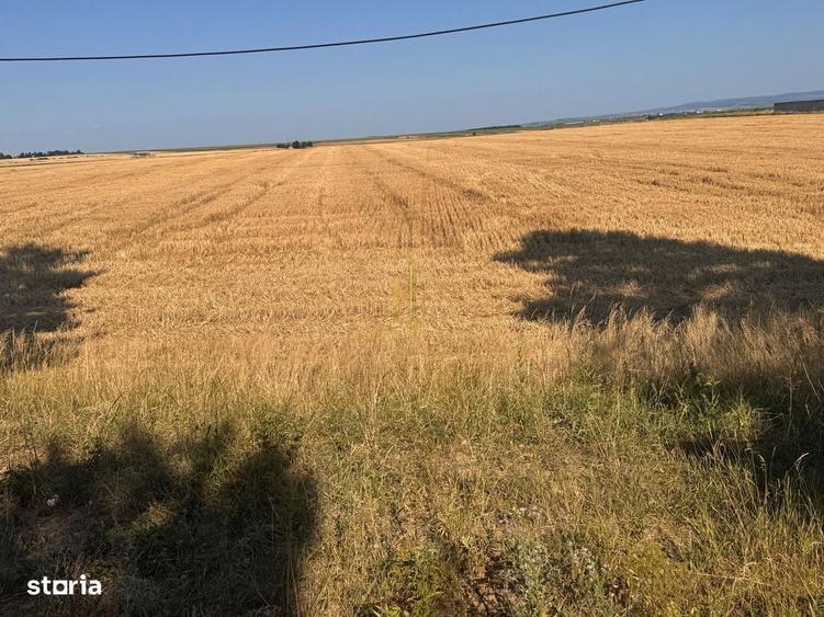 Teren de vanzare 10.200 mp, PlopeniSalcea, zona Aeroportului Suceava - 8