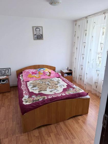vila p+1 Budeasa principala, 80mp pe nivel 4 camere,dependinte, teren 2300mp 1320000euro - 4