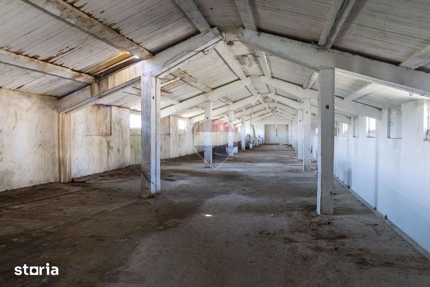 Teren de 17500 mp, în Hălchiu