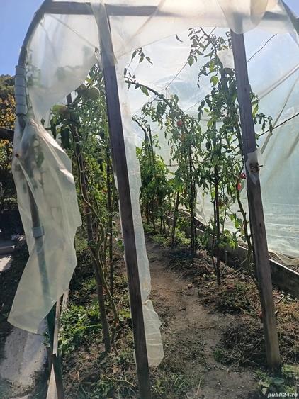 Casă cu 5 camere cu Teren 700 Mp în Goranu