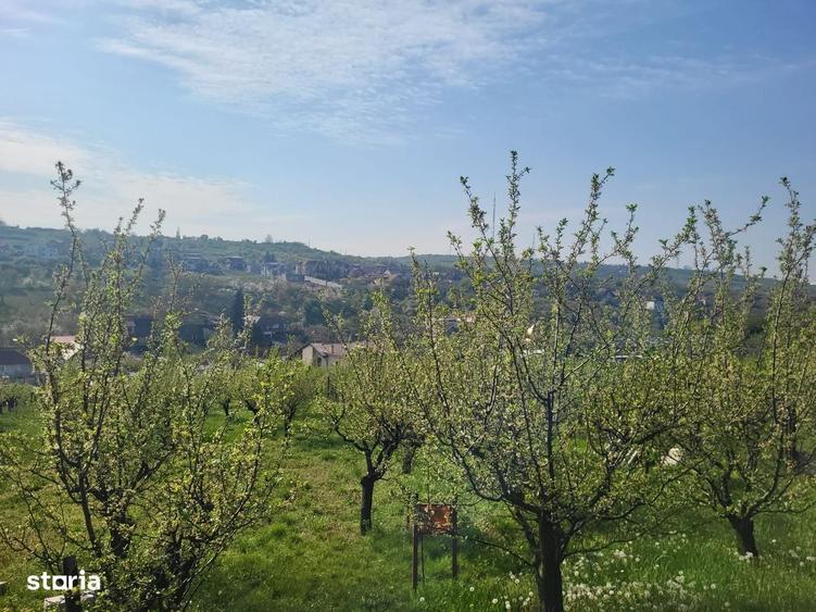 Spațiu comercial, în Spitalul Județean
