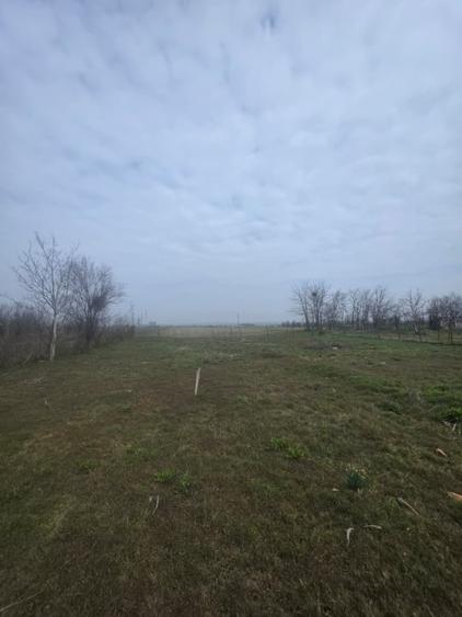 Teren Construcții intravilan de 5000 mp, în Exterior Vest