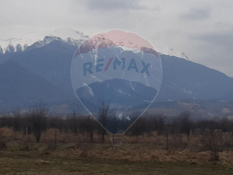 Teren agricol extravilan de 10000 mp, în Pănicel