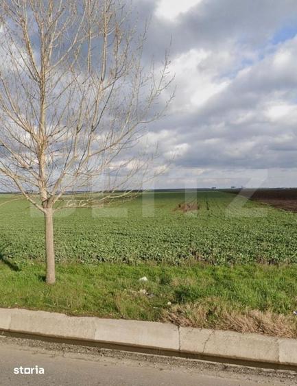 Teren de 15000 mp, în Pielești