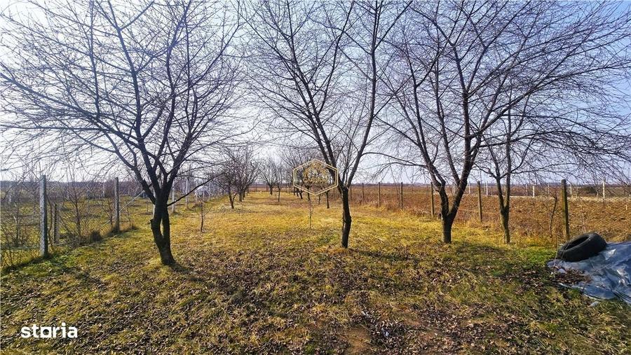 Casă cu 2 camere în Micro 17