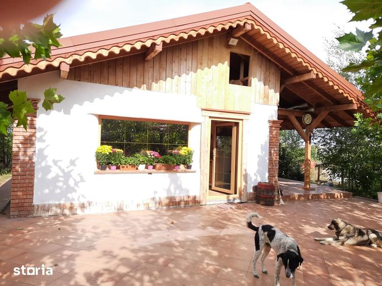 Casa noua cu 6500mp teren si anexe la Hudum - 1