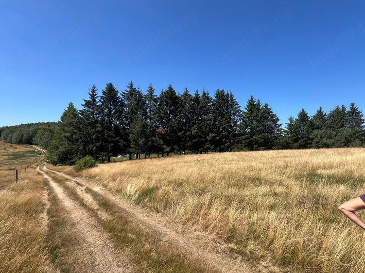 Teren de 4290 mp, în Gărâna