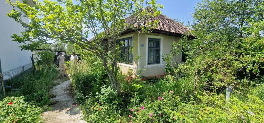 Casă cu 3 camere cu Teren 1853 Mp în Devesel