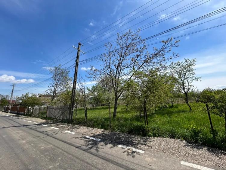 Teren de 7100 mp, în Răucești