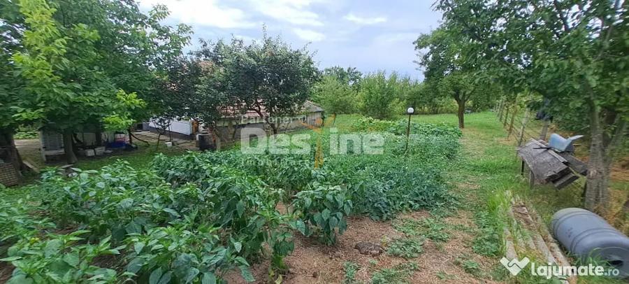 Casă cu 3 camere cu Teren 1715 Mp în Cornești
