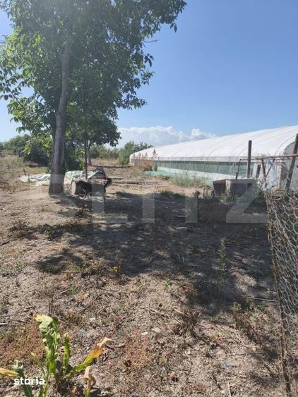 Casă cu 3 camere cu Teren 1435 Mp în Central