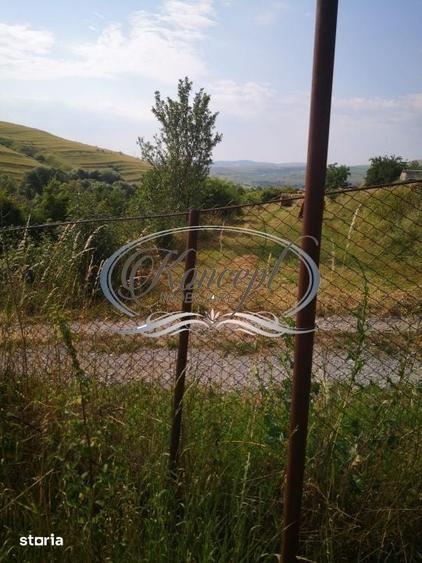 Teren de 773 mp, în Ciurila