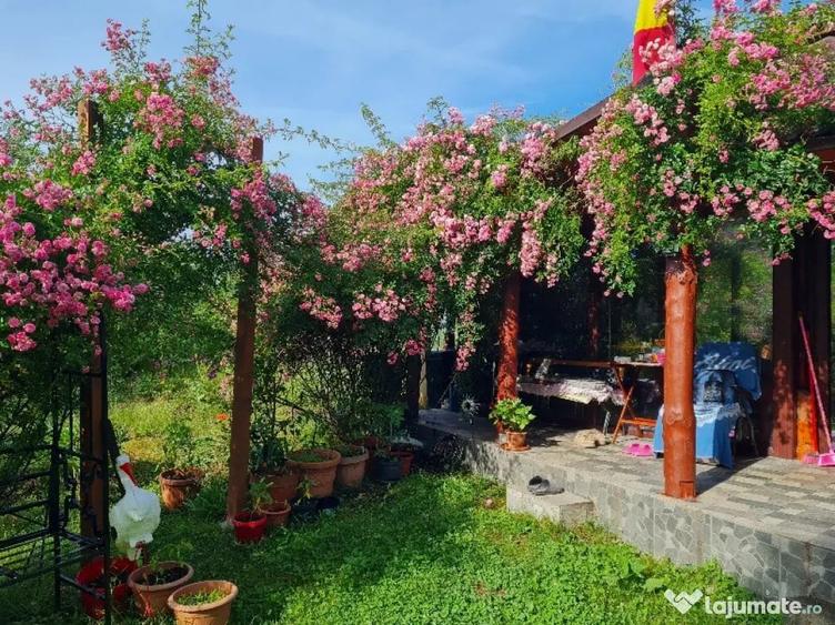 Casă cu 4 camere cu Teren 1800 Mp în Central