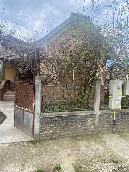 Casă în Viișoara