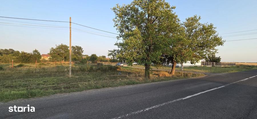 Teren de 1600 mp, în Sacoșu Turcesc