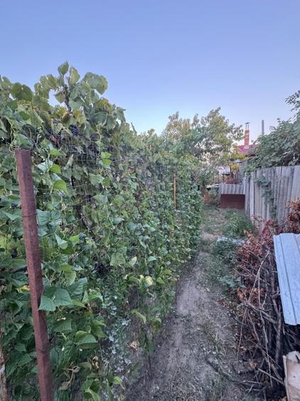 Casă individuală cu 5 camere cu Canalizare în Fratelia
