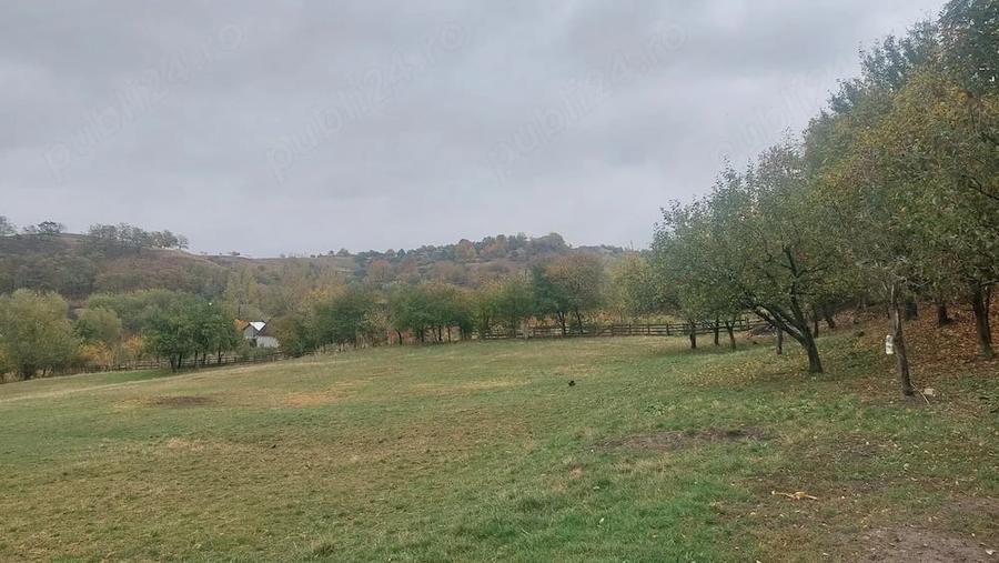 Teren de 6900 mp, în Rotopănești