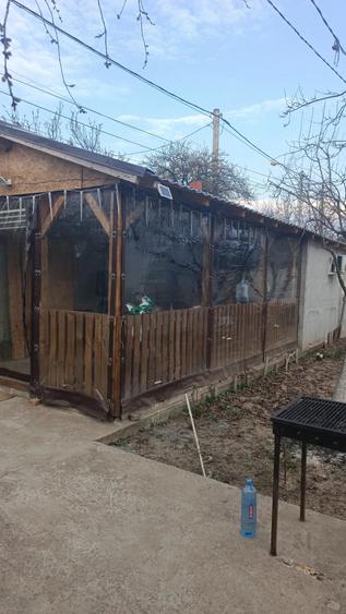 Casă cu 3 camere cu Teren 675 Mp în Central