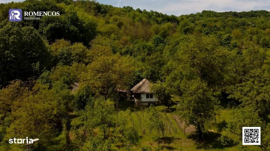 Casă cu 2 camere în Oprești