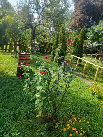 Casă cu 4 camere în Provița de Jos