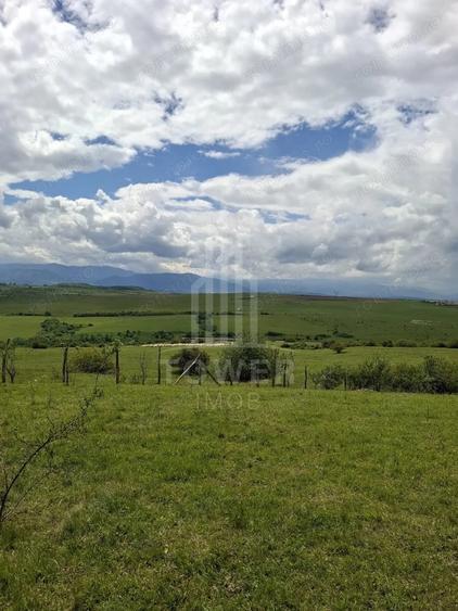 Teren de 11500 mp, în Daia