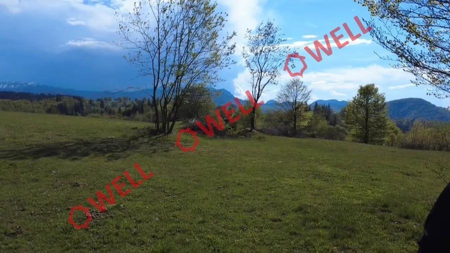 Teren extravilan de 2702 mp, în Vama Buzăului