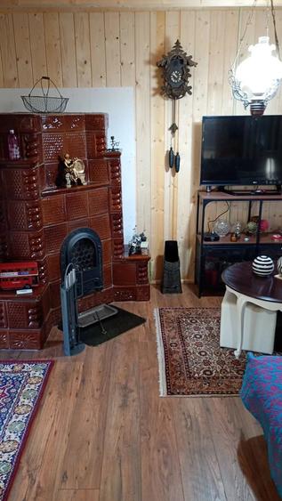 Vand sau schimb cu apartament in Giroc casa la Lacul Surduc - 2
