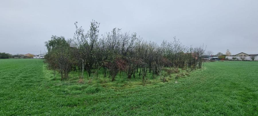 Teren Construcții intravilan de 750 mp, în Dârvari