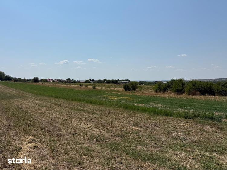 Teren de 1800 mp, în Șimnicu de Sus