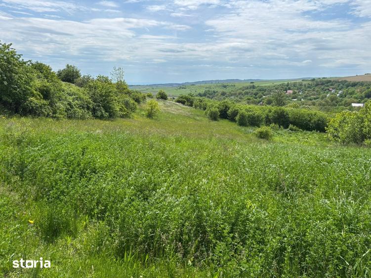 Teren de 4500 mp, în Tureni