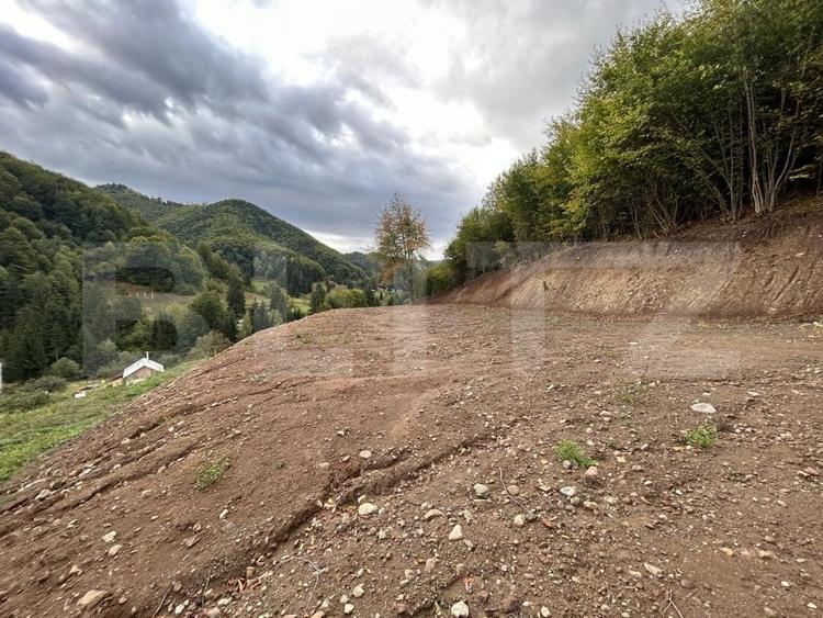 Teren Construcții intravilan de 12000 mp, în Nord-Vest