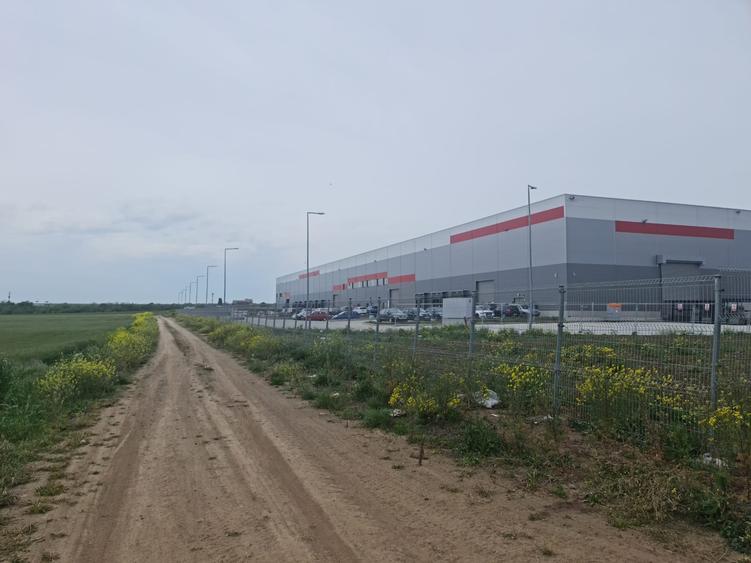 Teren Construcții intravilan de 25000 mp, în Lazu