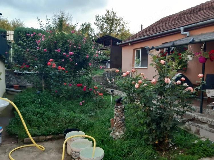 Casă cu 2 camere cu Teren 1134 Mp în Central