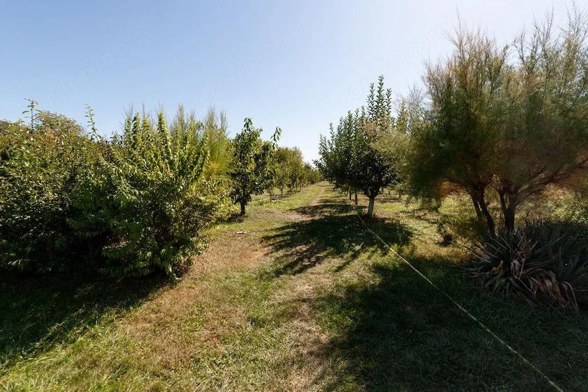 Casă cu 2 camere cu Teren 5000 Mp în Dârmănești