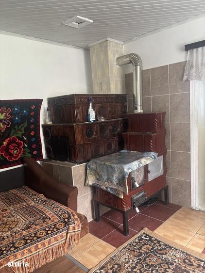 Casa de vanzare cu doua cur?i, livada ?i anexe 2600 mp - 3